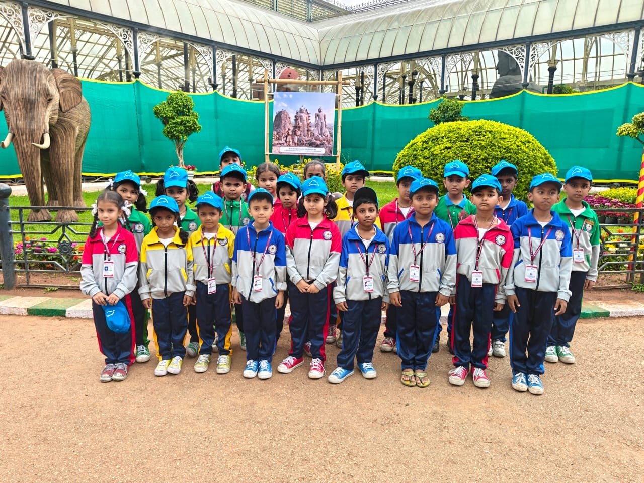 Sports Activity